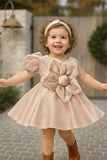 Fawn Party Frock With Sequins And Floral Embellishment For Girls