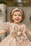 Fawn Party Frock With Sequins And Floral Embellishment For Girls