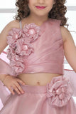 Blush Pink Organza Lehenga Choli And Dupatta For Girls