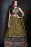 Olive Green Bandhani Printed Lehenga Choli with Dupatta for Girls