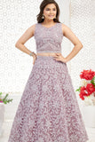 Onion Pink Embroidered Lehenga Choli with Sequin Work For Girls