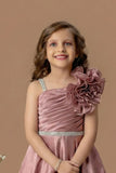 Designer Fawn Floral Appliqué Party Wear Gown For Girls