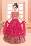 Rani Pink Multicolor Embroidered Lehenga Choli For Girls