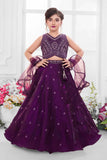 Deep Purple Embroidered Lehenga Choli Set for Girls