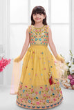 Mustard Lehenga Choli With Multicolor Embroidered for Girls