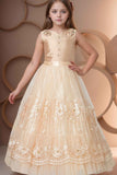 Designer Gold Embellished Net Party Gown With Floral Embellishment For Girls