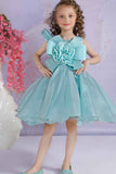 Sea Green Floral Embellished Party Wear Frock For Girls