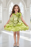 Light Green Embellished Glitter Bow Party Dress for Girls