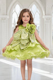 Light Green Embellished Glitter Bow Party Dress for Girls