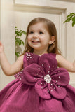 Magenta Embellished 3D Floral Appliqué Party Frock For Girls