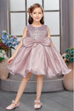 Onion Pink Sequin Embellished Frock For Girls
