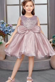 Onion Pink Sequin Embellished Frock For Girls