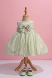 Mint Green Party Frock with Oversized Floral Appliqué and Pleated Shine Finish For Girls