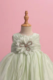 Mint Green Party Frock with Oversized Floral Appliqué and Pleated Shine Finish For Girls