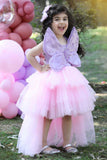 Pink Tulle Tailback Party Wear Frock With 3D Butterfly Embellishment For Girls