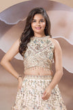 Cream Heavy Embroidered Lehenga Choli with Sequin and Thread Work For Girls
