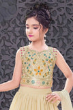 Cream Multicolor Embroidered Lehenga Choli For Girls