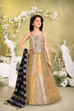 Gold & Silver Mirror Work Lehenga Choli Set with Dupatta