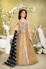 Gold & Silver Mirror Work Lehenga Choli Set with Dupatta