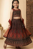 Brown Printed Crop Top with Pleated Lehenga and Dupatta For Girls