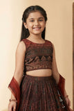 Brown Printed Crop Top with Pleated Lehenga and Dupatta For Girls