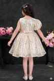 Fawn Sequin Party Wear Frock with Statement Floral Detail For Girls