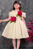 Beige Off-Shoulder 3D Rose Appliqué Party Wear Frock For Girls