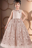 Designer Fawn Sequin Embellished Net Party Gown For Girls