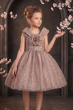 Girls Fawn Party Wear Frock with 3D Floral Bow And Sequin Detailing