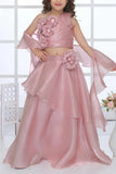 Blush Pink Organza Lehenga Choli And Dupatta For Girls