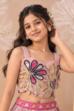 Baby Pink With Multicolor Floral Embellished Lehenga Choli Set