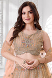 Peach Peacock And Floral Embroidered Lehenga Choli with Dupatta For Girls