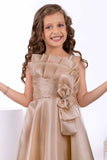 Designer Fawn Bow Embellished Layered Organza Party Wear Gown For Girls