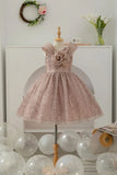 Girls Fawn Party Wear Frock with 3D Floral Bow And Sequin Detailing