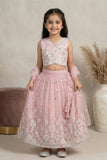 Blush Pink Embroidered Lehenga Choli Set with Dupatta For Girls