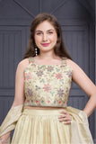 Elegant Cream Embroidered Lehenga Choli with Dupatta For Girls