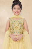 Cream Multicolor Embroidered Lehenga Choli For Girls
