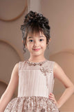 Designer Fawn Sequin Embellished Net Party Gown For Girls