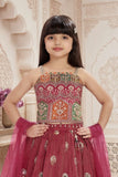 Pink Embroidered Lehenga Choli Set for Girls
