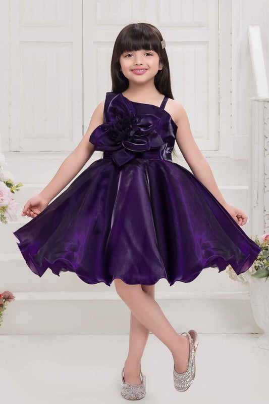 Violet Sleeveless And Floral Embellished Frock For Girls