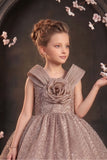 Girls Fawn Party Wear Frock with 3D Floral Bow And Sequin Detailing
