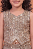 Girls Taupe Brown Embroidered Palazzo Set with Dupatta