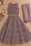 Elegant Pink Embellished Lehenga Choli Set for Girls