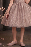 Girls Fawn Party Wear Frock with 3D Floral Bow And Sequin Detailing