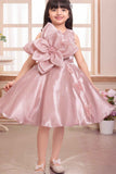 Elegant Peach Floral And Butterfly Embellished Frock For Girls