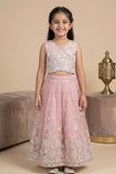 Blush Pink Embroidered Lehenga Choli Set with Dupatta For Girls