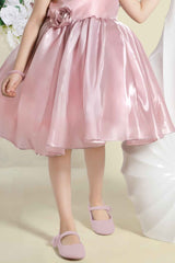 Onion Pink Sleeveless Sequins Work And Floral Embellished Frock For Girls