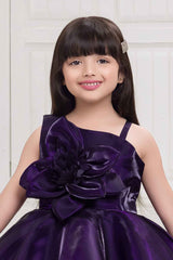 Violet Sleeveless And Floral Embellished Frock For Girls