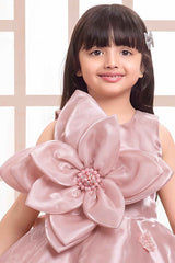 Elegant Peach Floral And Butterfly Embellished Frock For Girls