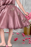 Dusty Pink Party Frock With Big Flower and Butterfly Design For Girls